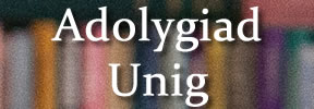 Adolygiad